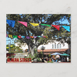Olvera Street- Los Angeles Postcard