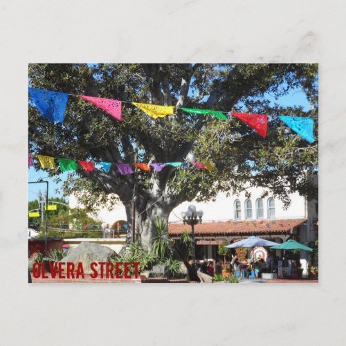 Olvera Street_ Los Angeles Postcard