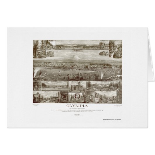 Olympia, WA Panoramic Map - 1903 Cards (Front Horizontal)