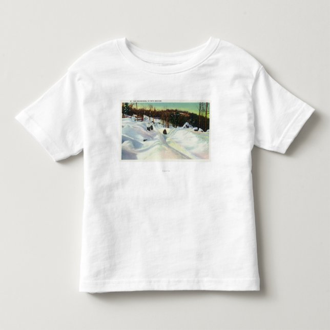 Olympic Bobsled Run View on Mt. Van Hoevenberg Toddler T-shirt (Front)