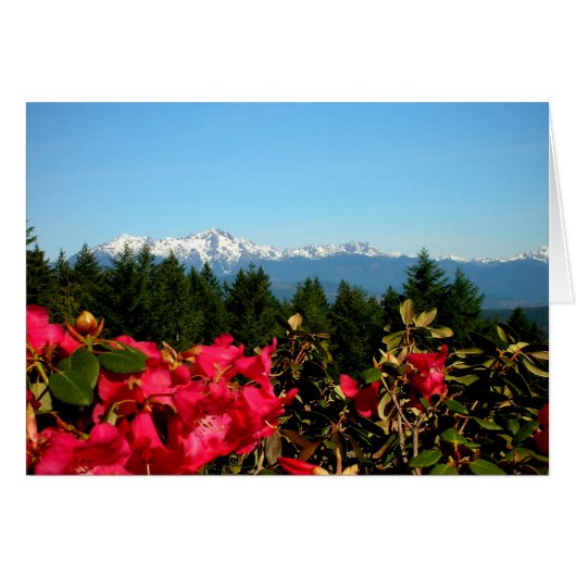 Olympic Mountains and Rododenrons (Front Horizontal)