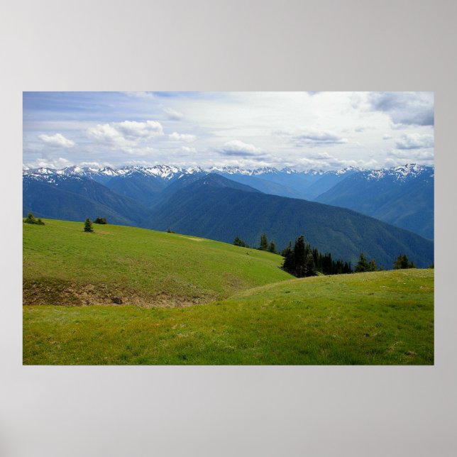 Olympic Mountains Poster (Front)
