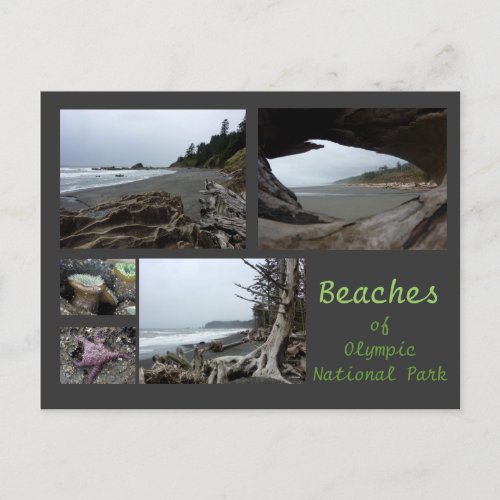 Olympic NP Beaches _ Kalaloch Rialto Beach 4 Postcard