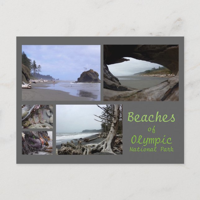 Olympic N.P. (Beaches - Kalaloch, Rialto, Second) Postcard (Front)