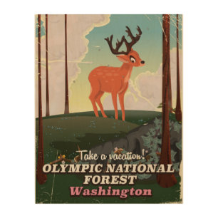 Olympic National Forest USA travel poster