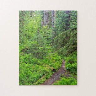Olympic National Park, Forest trail Jigsaw Puzzle