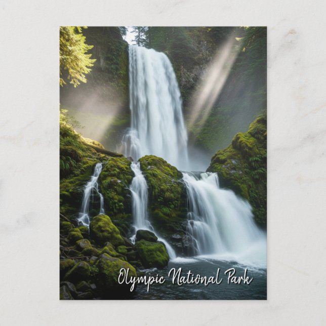 Olympic national park hoh rainforest waterfall postcard (Front)