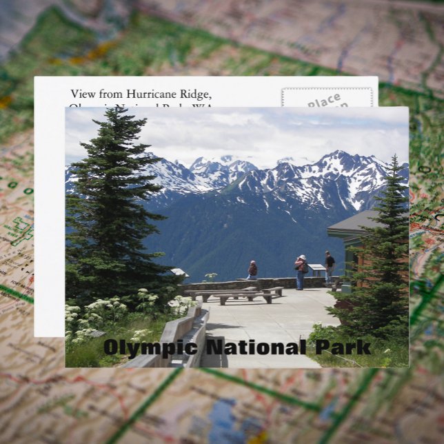 Olympic National Park Hurricane Ridge Travel Photo Postcard (In Situ Map)