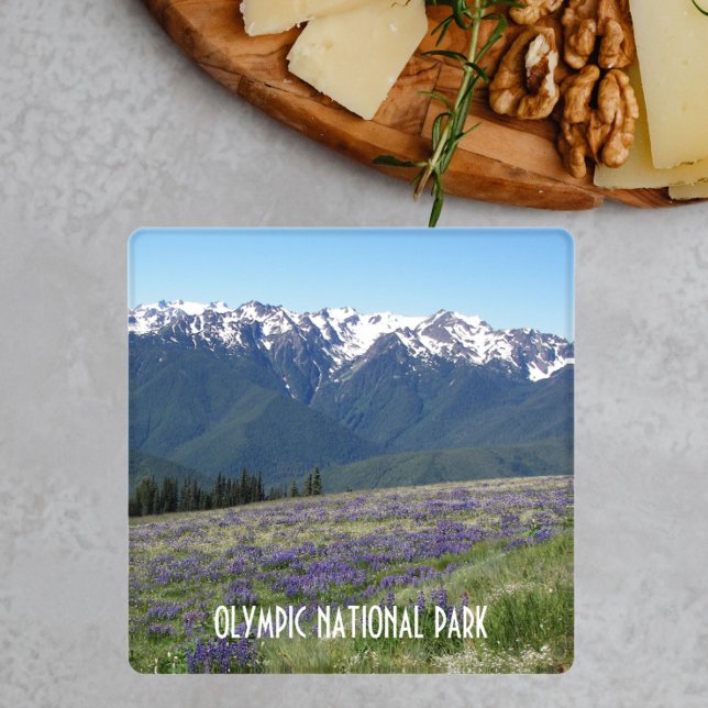 Olympic National Park Landscape Coaster Set (In Situ Single)