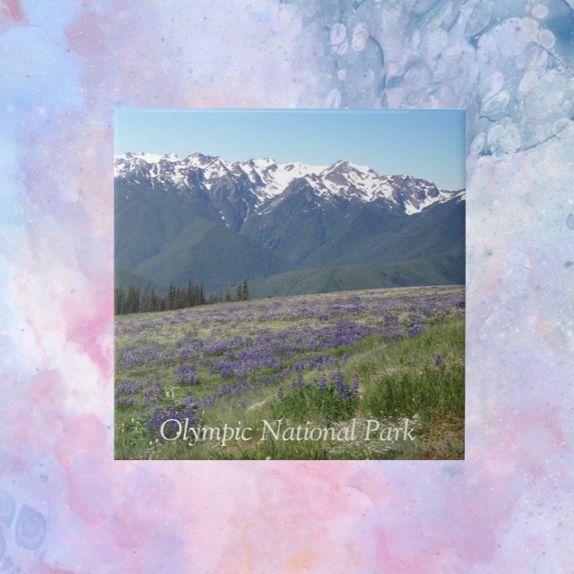 Olympic National Park Mountains and Meadows Ceramic Tile (In Situ)