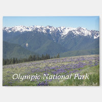 Olympic National Park Mountains and Meadows