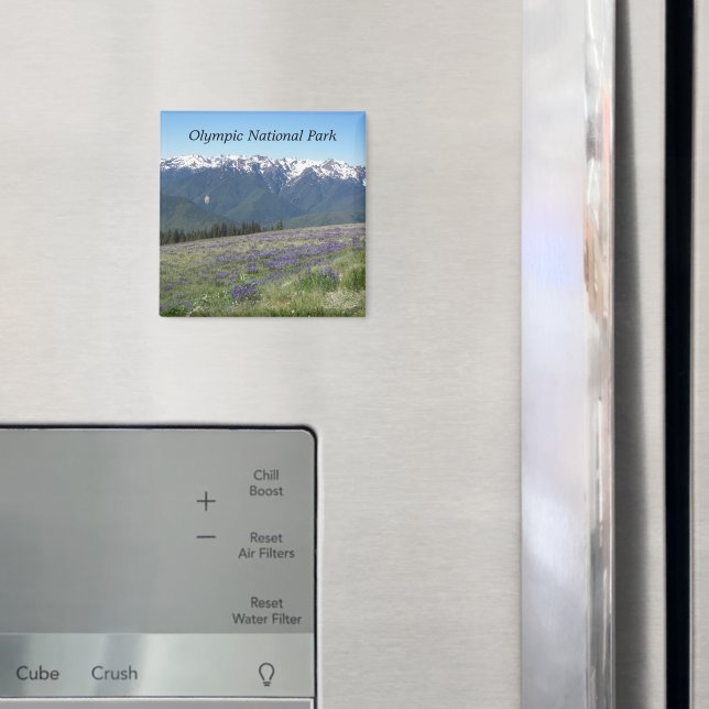 Olympic National Park Mountains and Meadows Magnet (In Situ (Fridge))