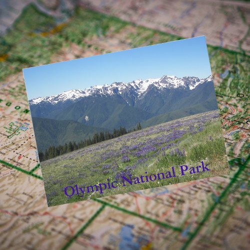 Olympic National Park Mountains and Meadows Postcard