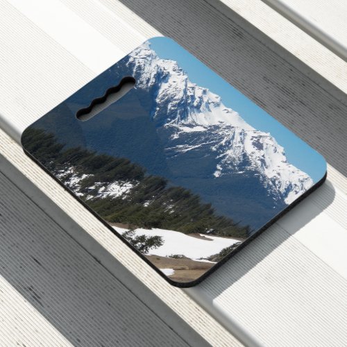 Olympic National Park Mountains Landscape Seat Cushion