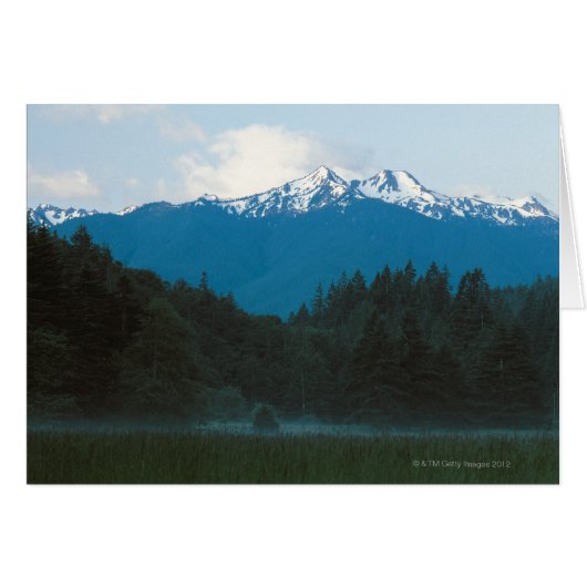Olympic National Park , Mt. Olympus , Washington Cards (Front Horizontal)