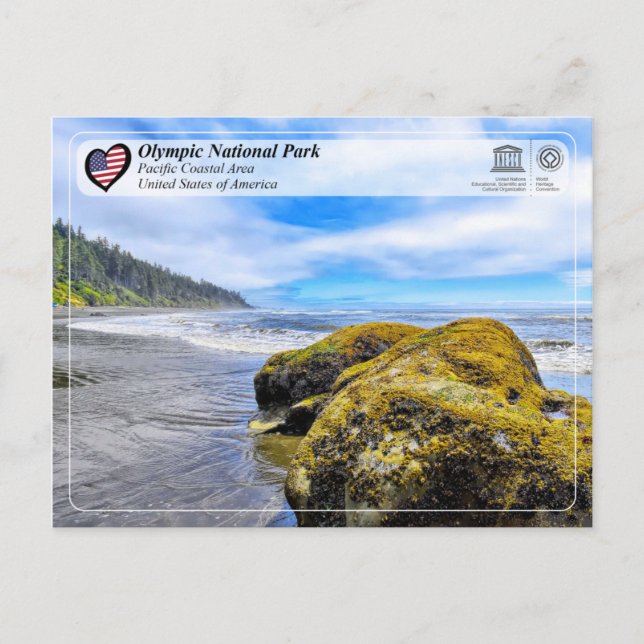 Olympic National Park - Pacific Coastal Area Postcard (Front)