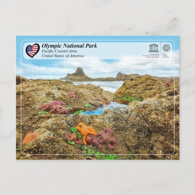 Olympic National Park - Pacific Coastal Area Postcard (Front)