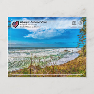 Olympic National Park - Pacific Coastal Area Postcard