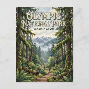 Olympic National Park Port Angeles Postcard