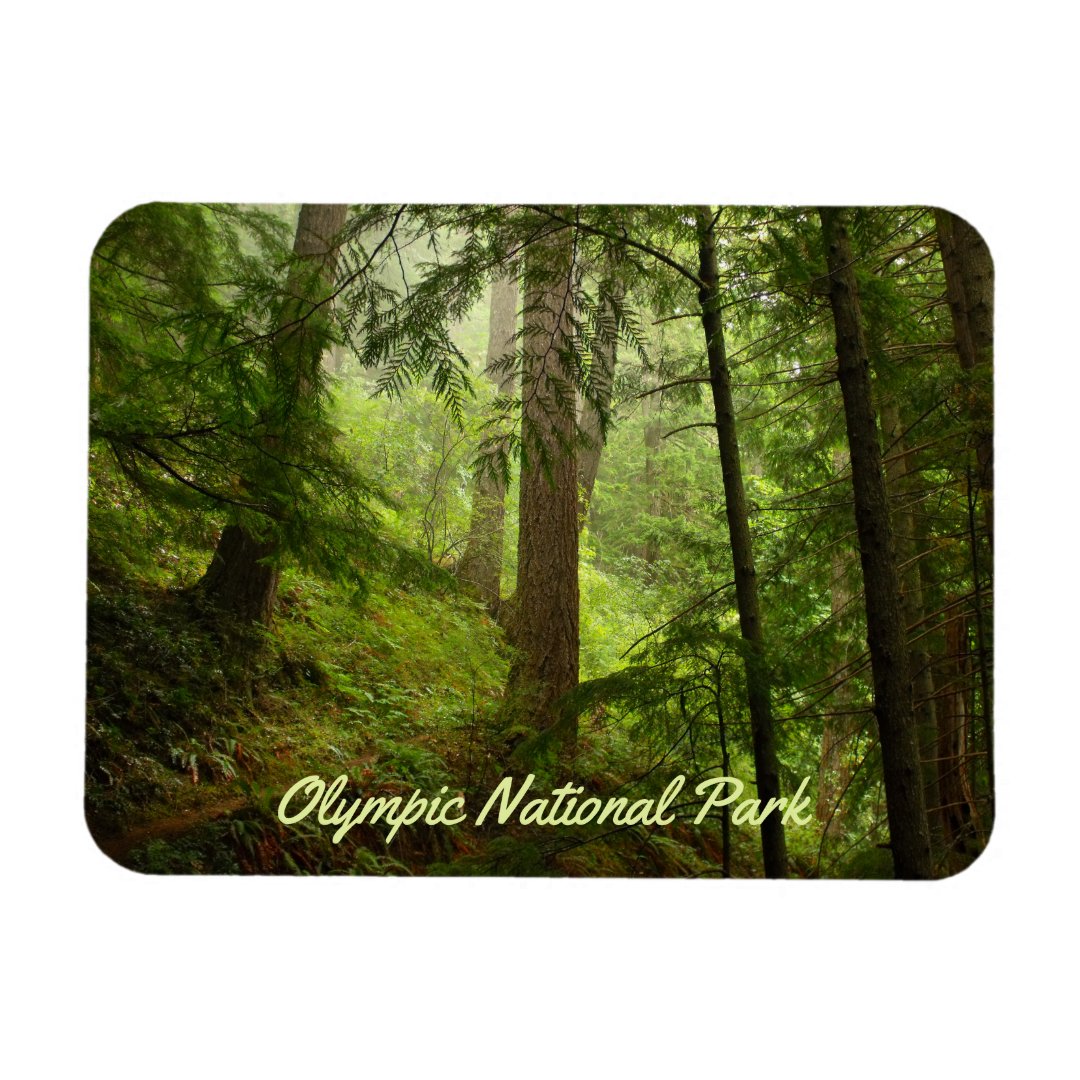 Olympic National Park Rainforest Photo Magnet | Zazzle