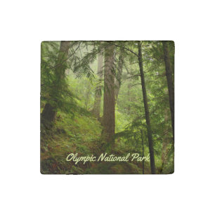 Olympic National Park Rainforest Photo Stone Magnet
