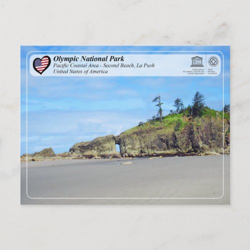 Olympic National Park _ Second Beach La Push Postcard