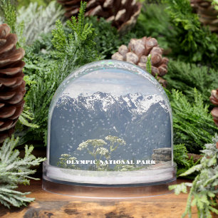 Olympic National Park Travel Photo Snow Globe