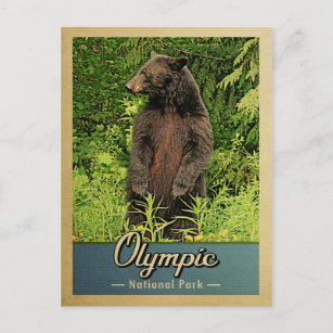 Olympic National Park Vintage Bear Postcard