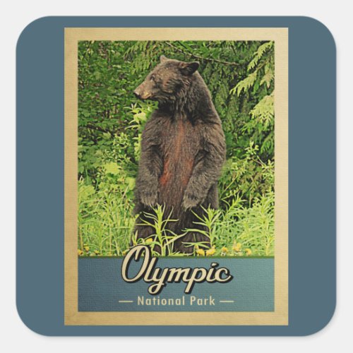 Olympic National Park Vintage Bear Square Sticker
