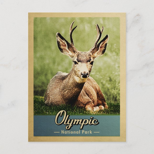 Olympic National Park Vintage Deer Postcard (Front)