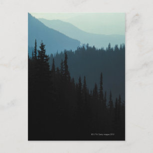 Olympic National Park , Washington Postcard