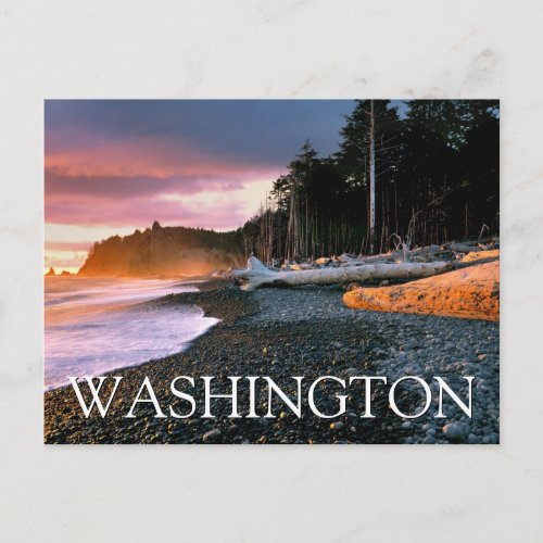 Olympic National Park  Washington State Birthday Postcard