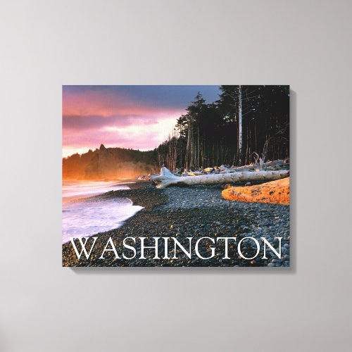 Olympic National Park  Washington State Canvas Print