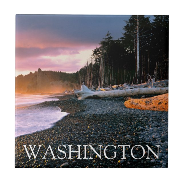 Olympic National Park | Washington State Ceramic Tile (Front)