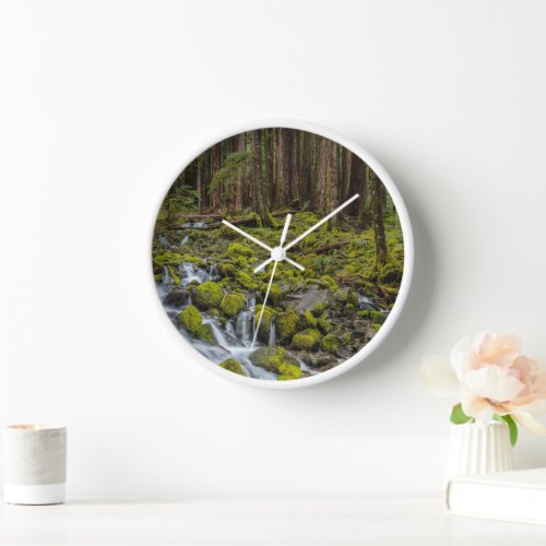 Olympic National Park Washington State Clock