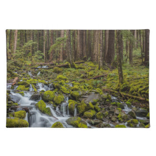 Olympic National Park, Washington State Cloth Placemat