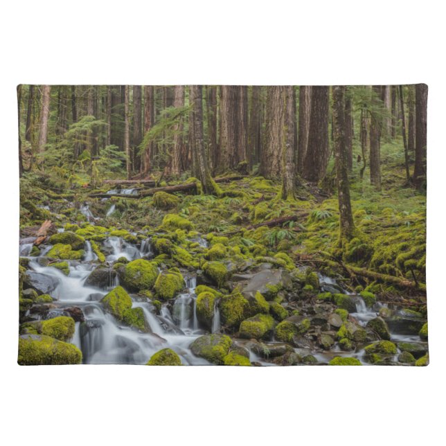 Olympic National Park, Washington State Cloth Placemat (Front)