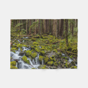 Olympic National Park, Washington State Fleece Blanket