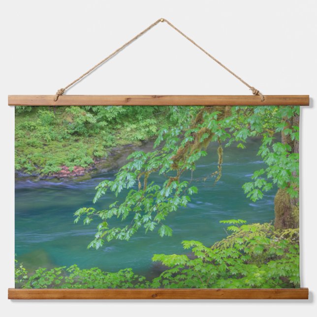 Olympic National Park Washington State Hanging Tapestry (Front)