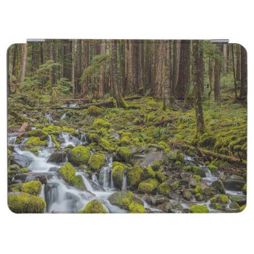 Olympic National Park Washington State iPad Air Cover