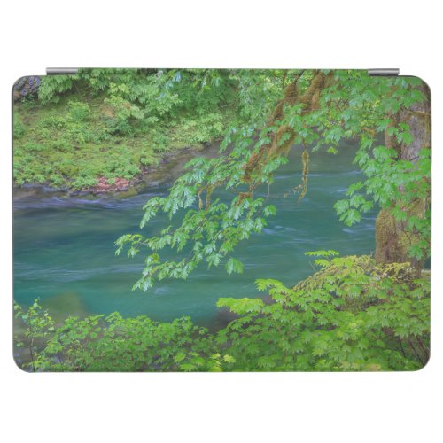 Olympic National Park Washington State iPad Air Cover