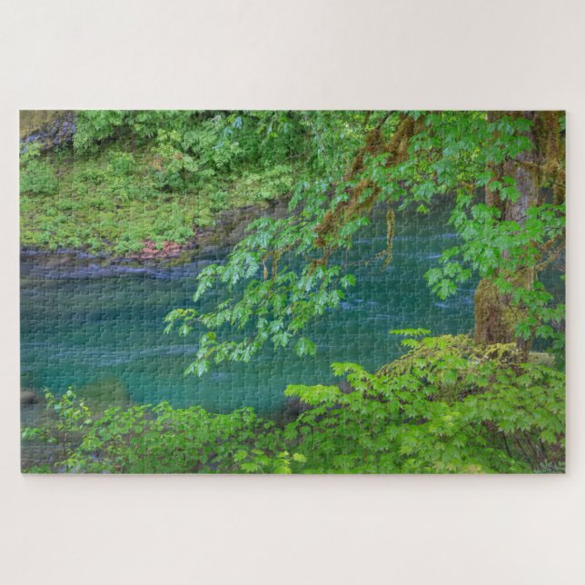 Olympic National Park Washington State Jigsaw Puzzle (Horizontal)
