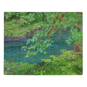 Olympic National Park Washington State Jigsaw Puzzle