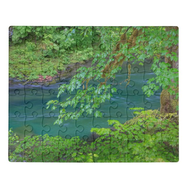 Olympic National Park Washington State Jigsaw Puzzle (Puzzle Horizontal)