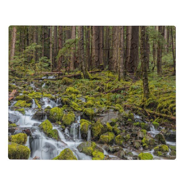 Olympic National Park, Washington State Jigsaw Puzzle (Puzzle Horizontal)