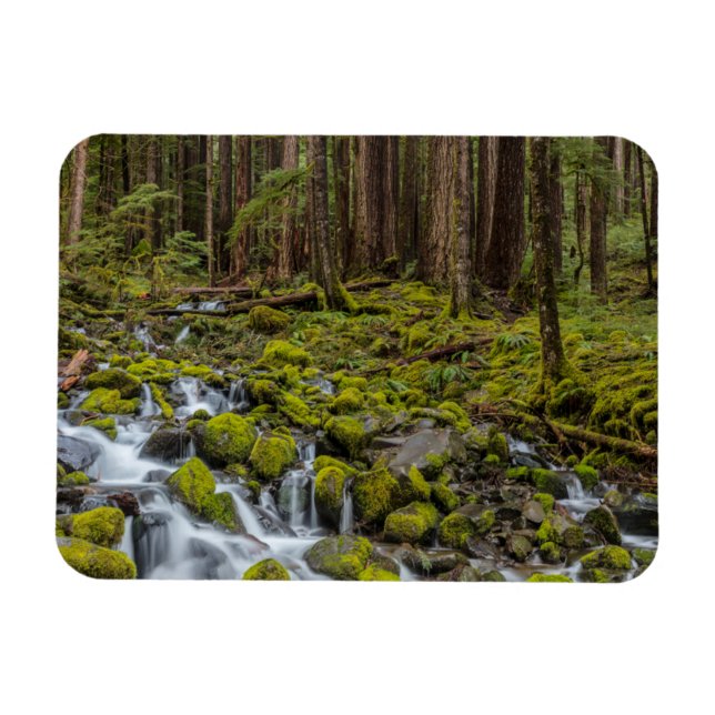 Olympic National Park, Washington State Magnet (Horizontal)