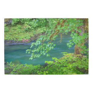 Olympic National Park Washington State Metal Print