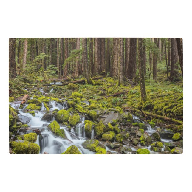 Olympic National Park, Washington State Metal Print (Front)