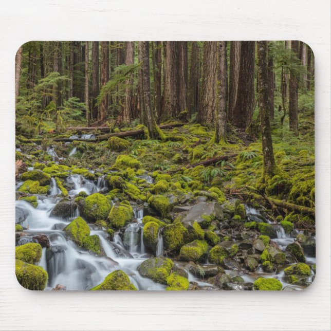 Olympic National Park, Washington State Mouse Pad (Front)