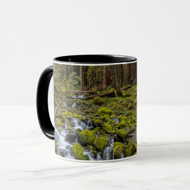 Olympic National Park, Washington State Mug (Front Left)